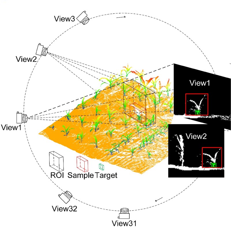 FIGURE 2