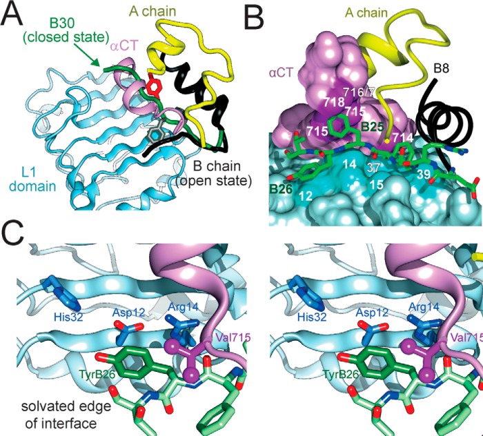 Figure 9.