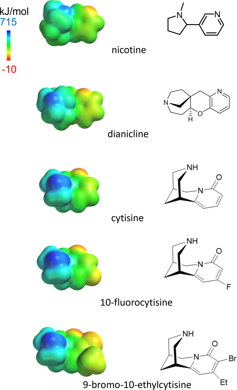 Figure 1—figure supplement 2.