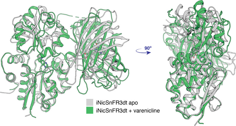 Figure 1—figure supplement 1.