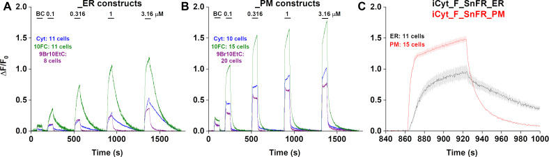 Figure 7—figure supplement 1.