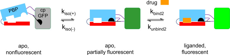 Appendix 2—figure 3.