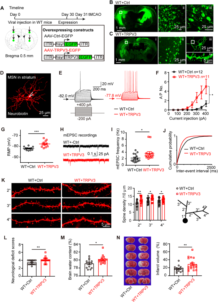 Figure 4