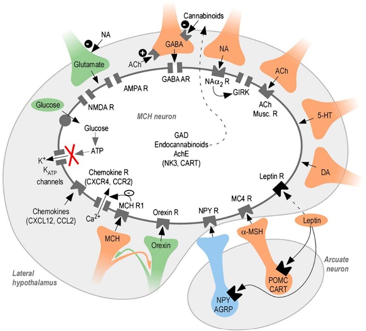 Figure 4.