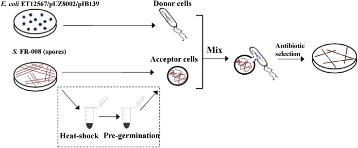 Fig. 3