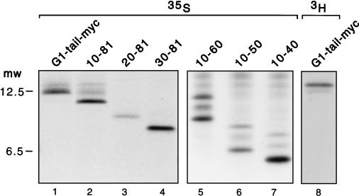 FIG. 7