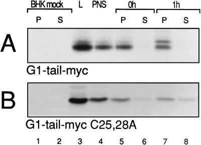 FIG. 9
