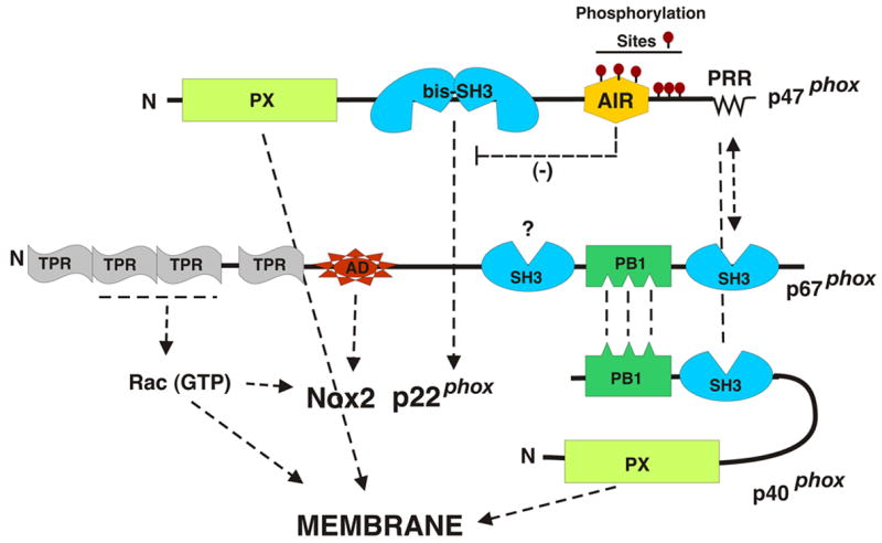 Fig. 2