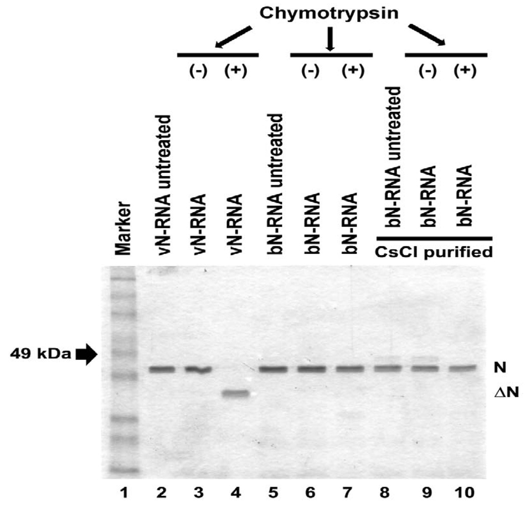 FIG. 7