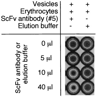 FIG. 6