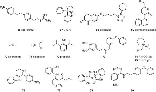 Figure 14