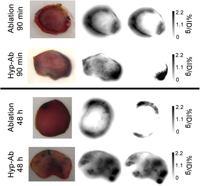 Fig. 5.