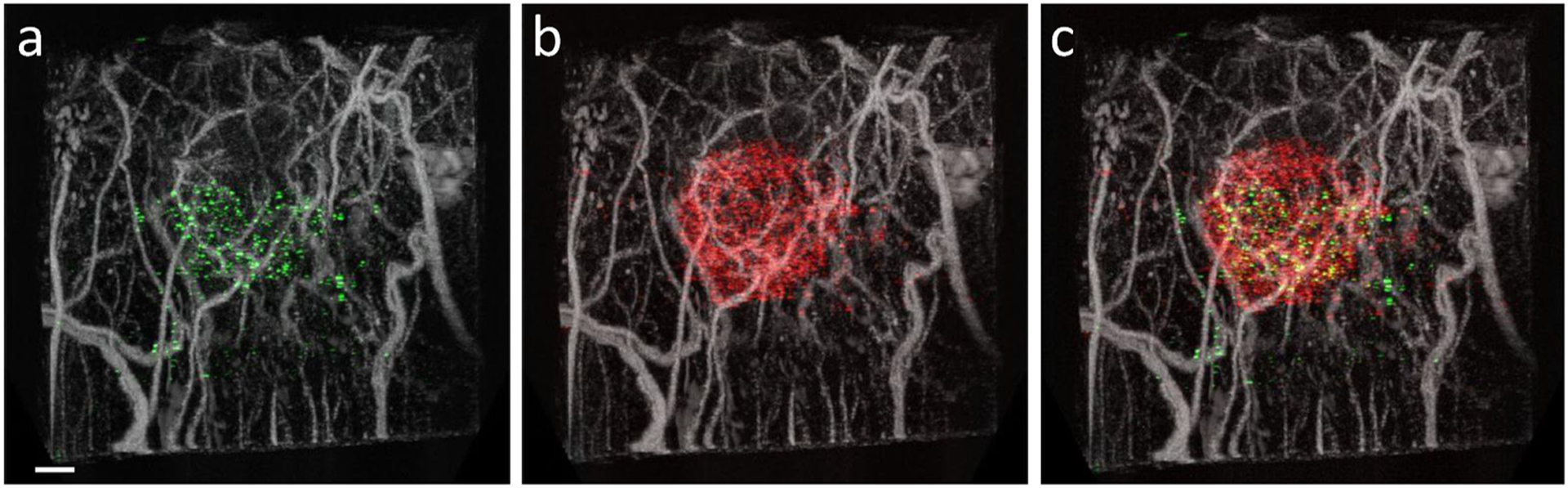 Figure 5: