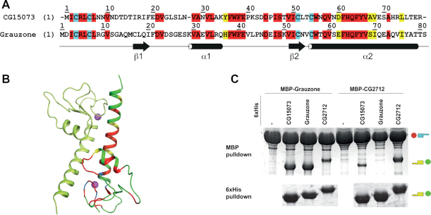 Figure 4.