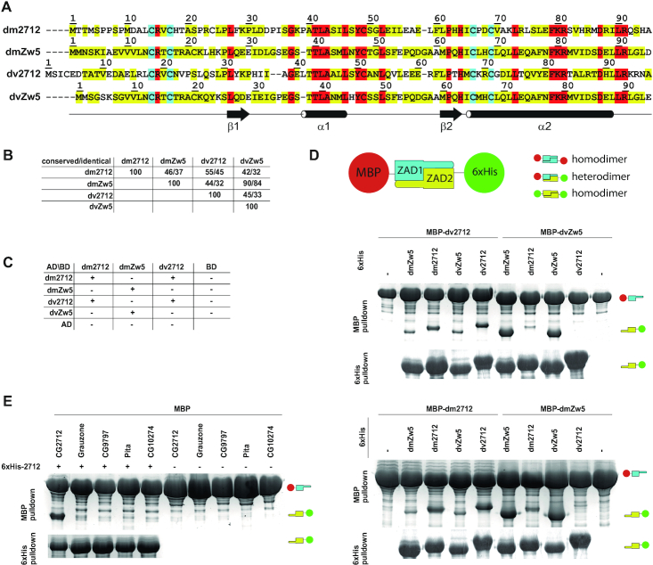 Figure 2.