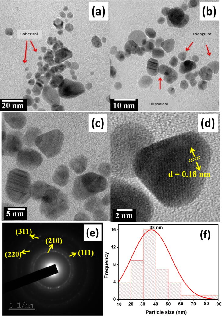 Fig. 5