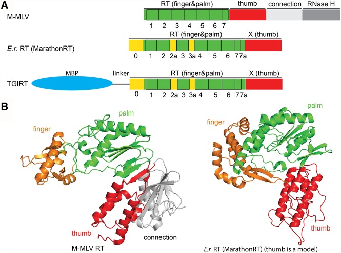 FIGURE 1.