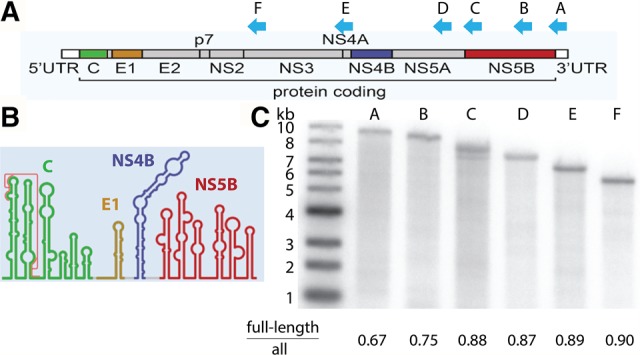 FIGURE 2.