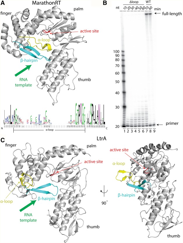 FIGURE 5.