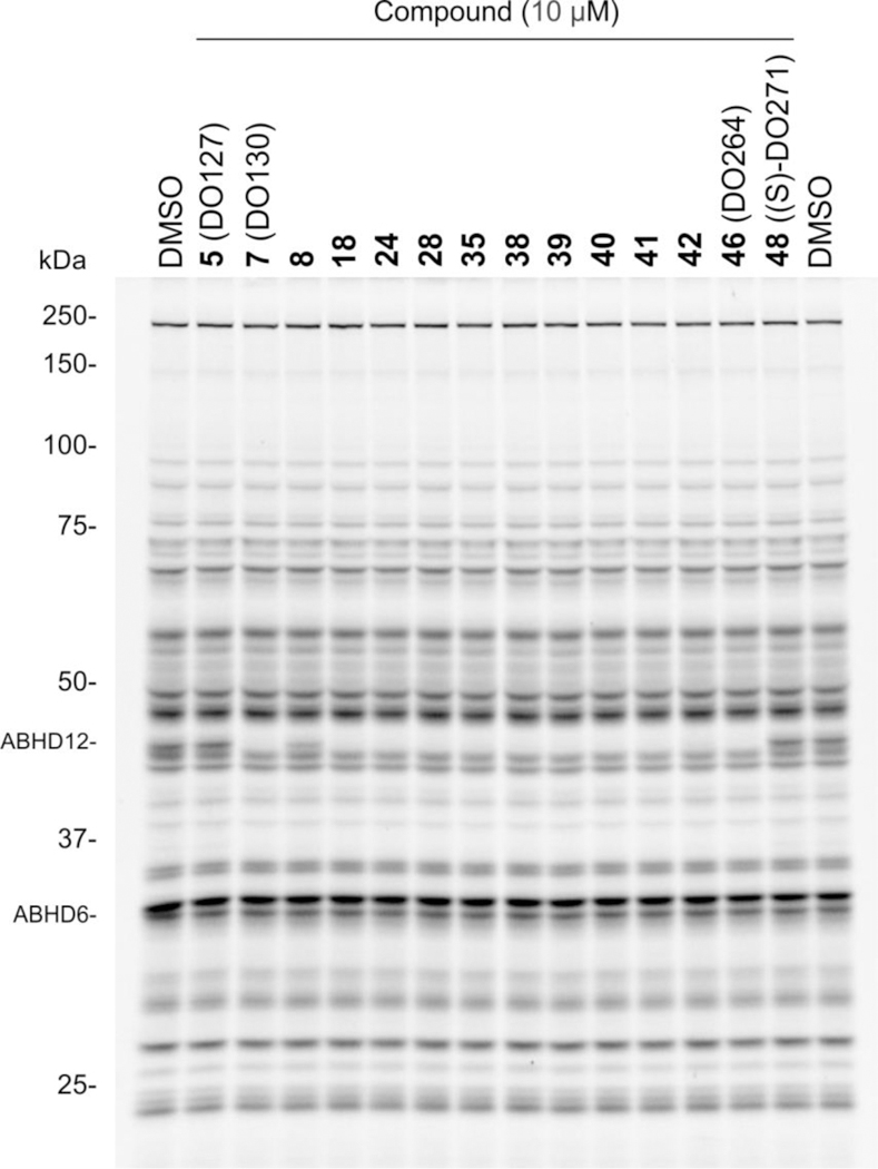 Figure 5.