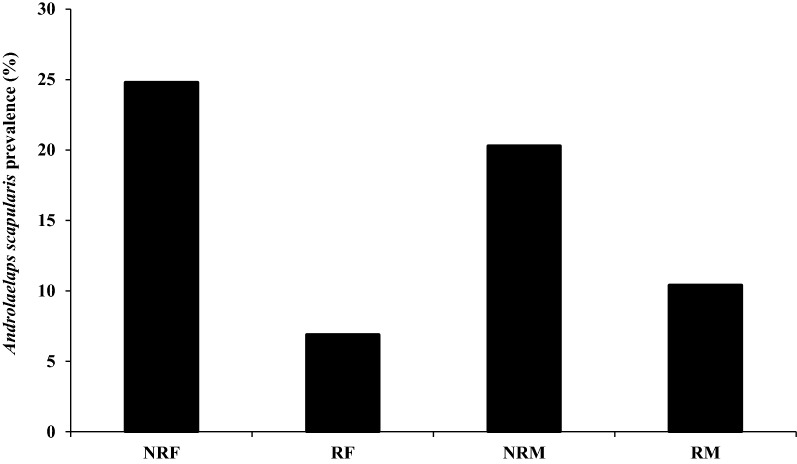 Fig. 5