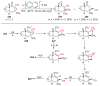 Scheme 53
