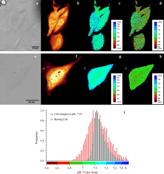 FIGURE 3