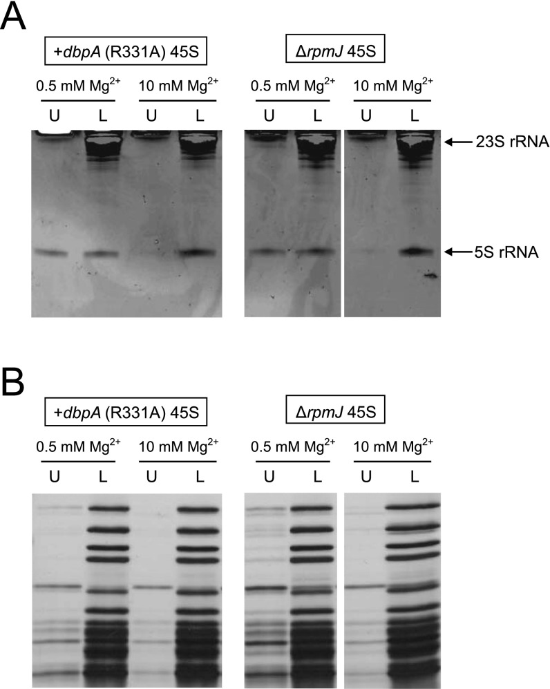 Fig. S8.