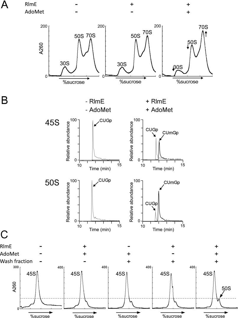 Fig. S4.