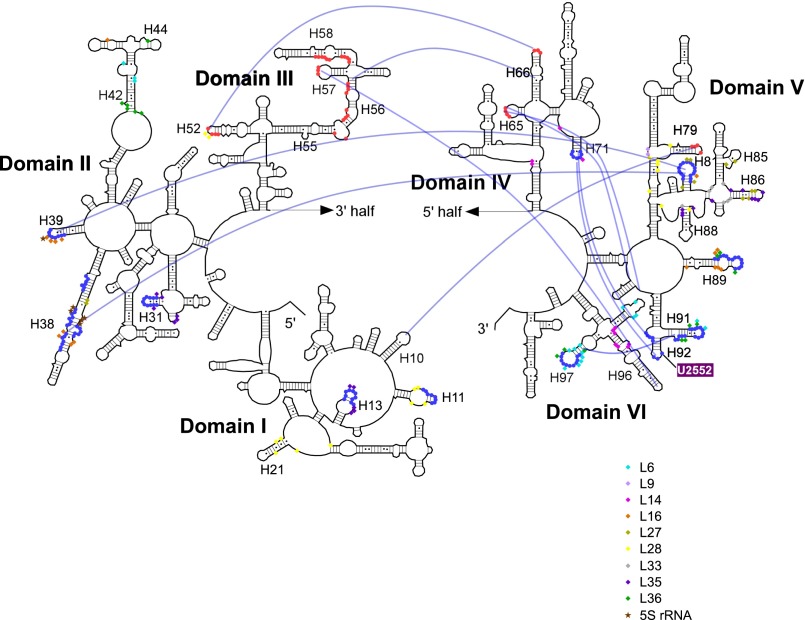 Fig. S11.