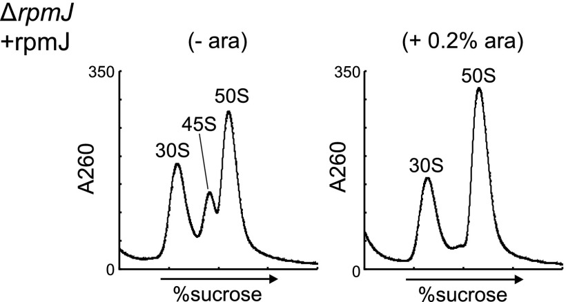 Fig. S6.