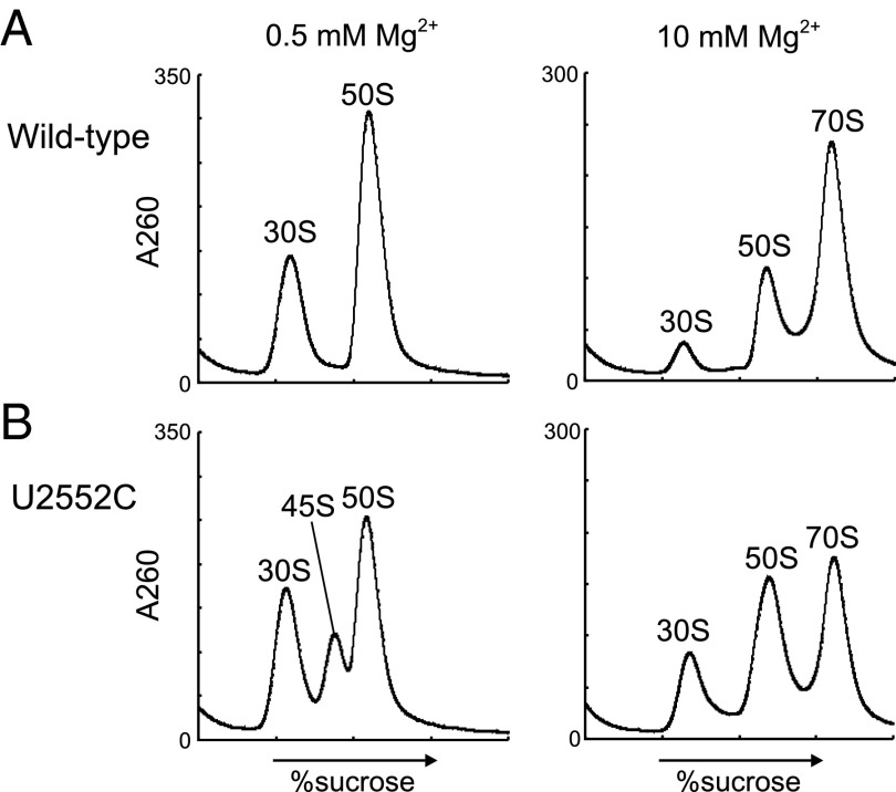 Fig. S5.