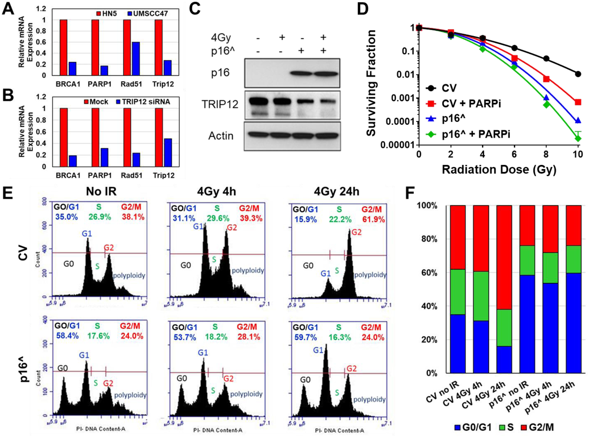 Figure 2: