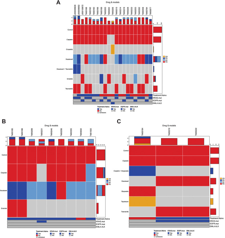 Figure 5. Summary of treatment responses in lung PDX models. (A) LUAD, (B) LUSC, and (C) all other lung cancer types. Treatment responses were calculated as percent change in tumor volume for each animal as V: [(end_volume – start_volume)/start_volume) × 100] at day 21. Within each group the minimum (Vm) and average volume (Va) were calculated with response classifications calculated as follows CR: Vm < −95%, Va < −40%; PR: Vm < −50%, Va < −20%; SD: Vm < 35%, Va < 30%; PD: anything else. The number of treatments in each RECIST category is shown at the top, and number of models in each RECIST category is shown on the right side of each plot. The color bar at the bottom indicates the treatment naïve and mutation status (KRAS, EGFR, and EML4-ALK fusion) of each model. Plots were generated with the R package Xeva (version 1.6.0).