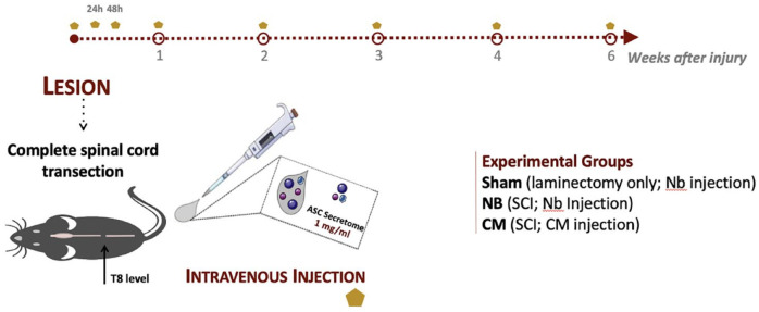 Figure 7.