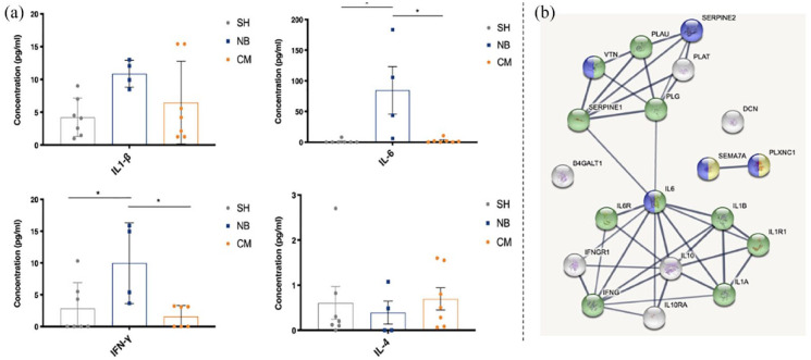 Figure 5.