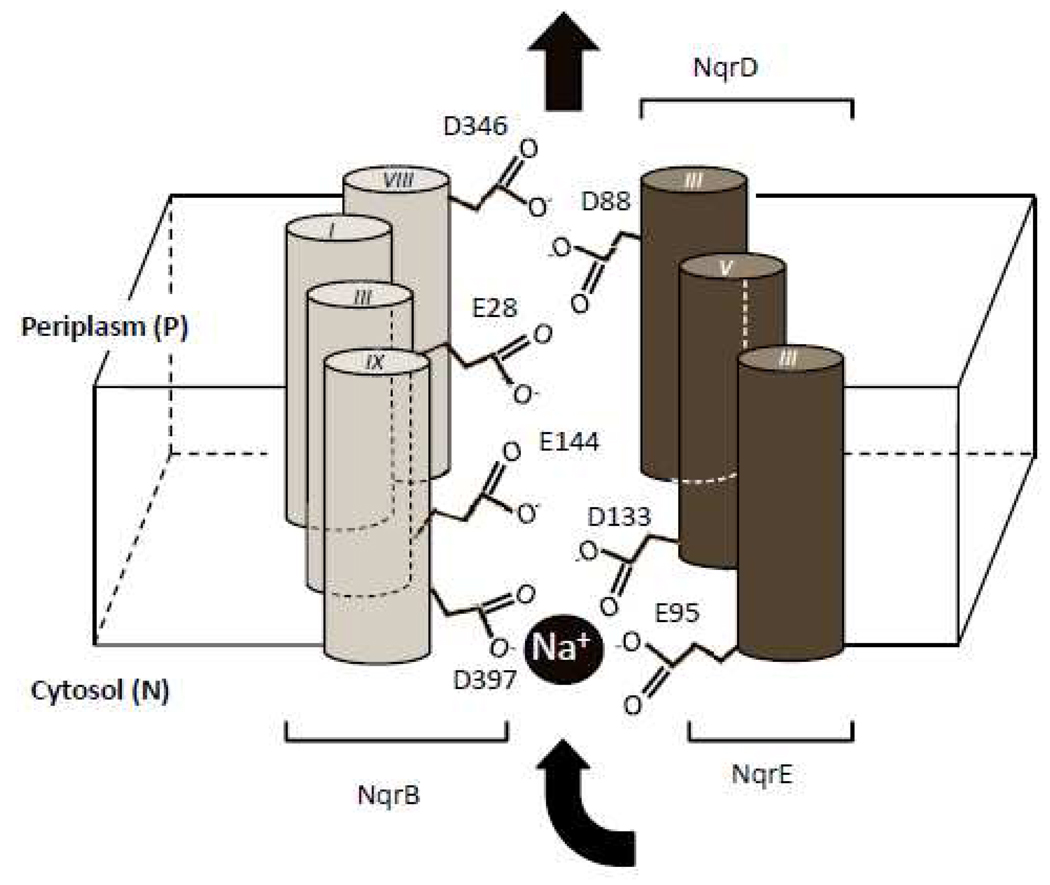 Figure 5