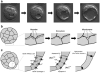 Fig. 9.2