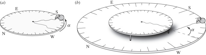 Figure 1.