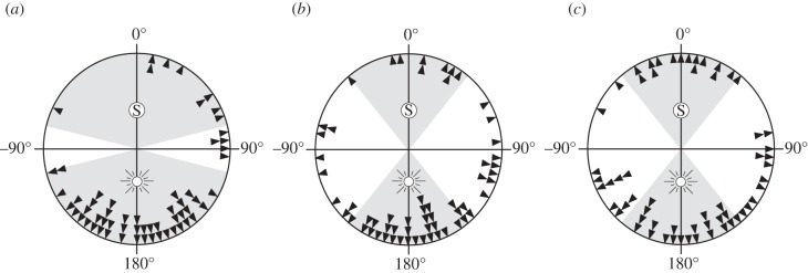 Figure 3.