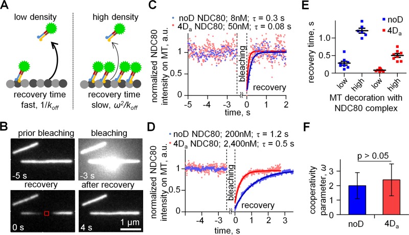 FIGURE 6: