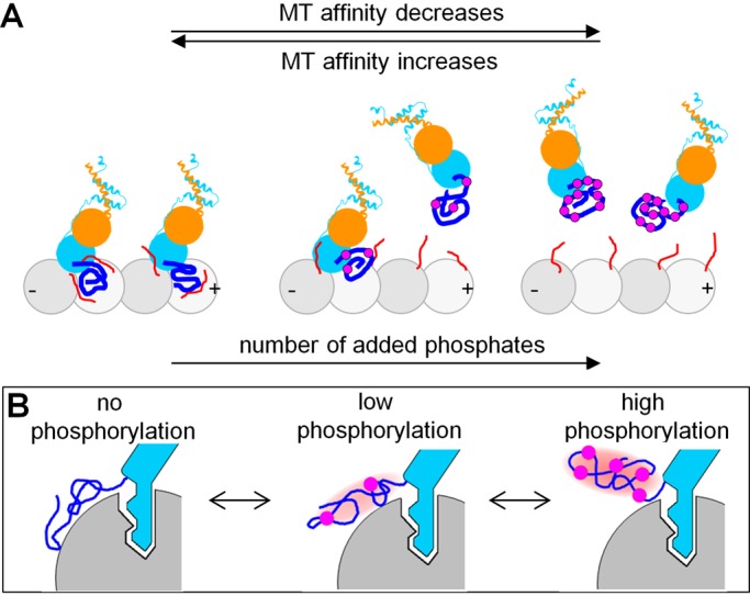 FIGURE 10: