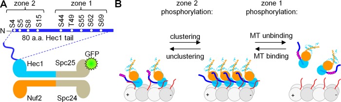 FIGURE 1: