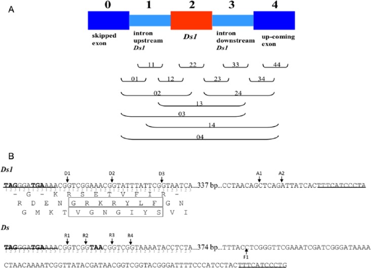 Figure 1.