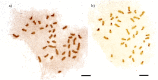 Fig 8