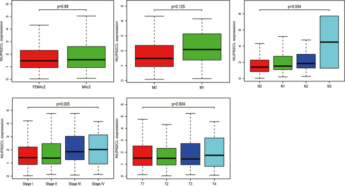 FIGURE 1