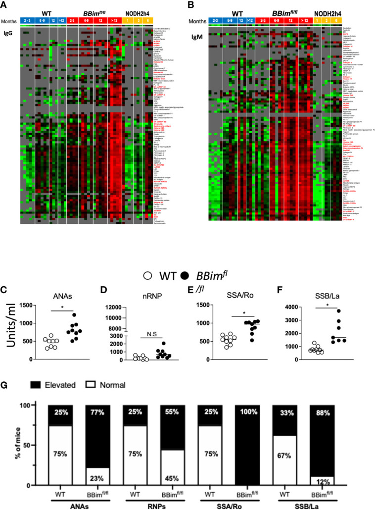 Figure 6