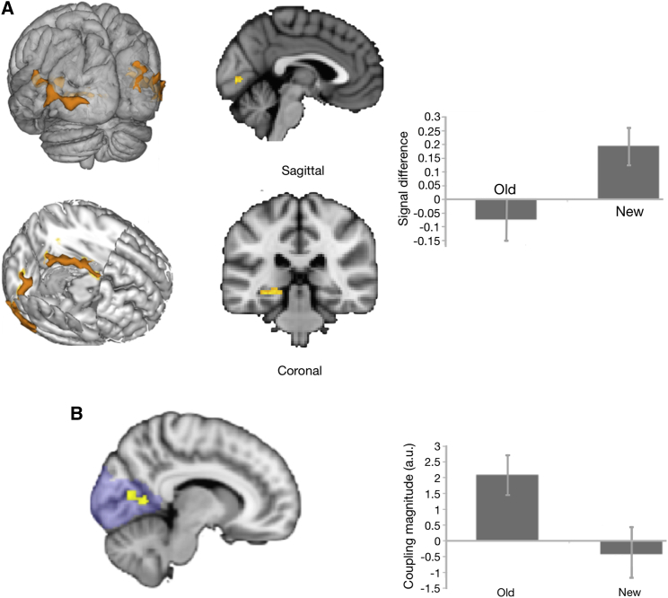 Figure 3