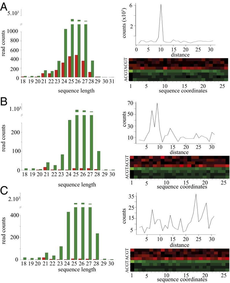 piRNA pathway is not required for antiviral defense in Drosophila ...