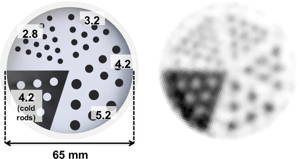 Fig. 10.